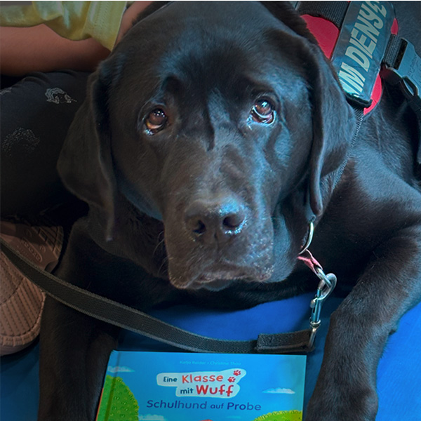 05_projekt_stiftung_lesen_hund.jpg